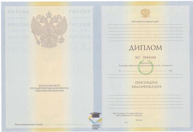 Диплом ЕИФК УралГУФК 2010-2011 годов